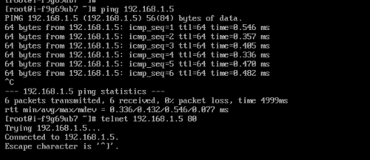 ping telnet