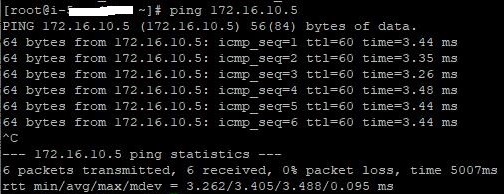 504003 ping vpn instance